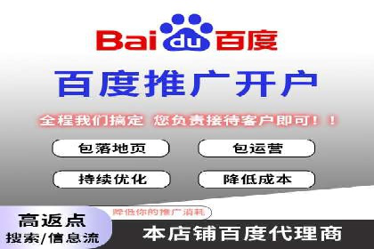 竞价SEM案例分享：行业霸主崛起之路