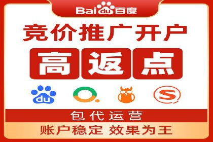 某某sem广告公司成功案例：如何通过SEM优化提高电商销售额